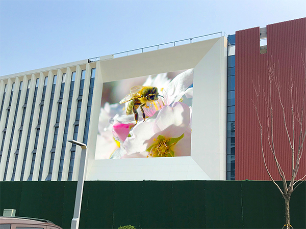 Enhancing School Exteriors with the TD Transparent LED Screen TB Series